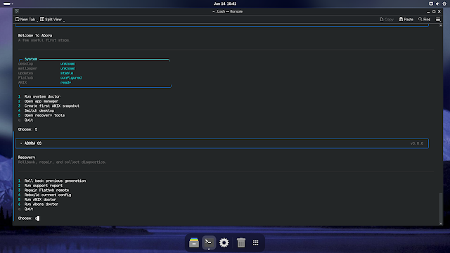 Abora CLI main menu